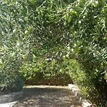 度假居 Kuca Za Odmor Lavanda Poljica (Trogir)