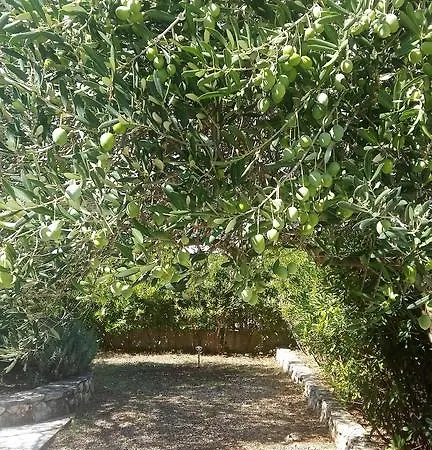 بيت للعطل Kuca Za Odmor Lavanda Poljica (Trogir)